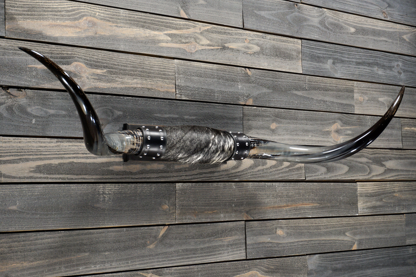 4' 8" Longhorn Wall Mount #309