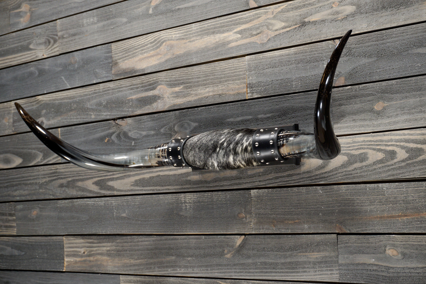 4' 8" Longhorn Wall Mount #309