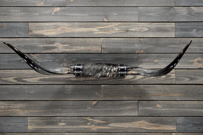 4' 8" Longhorn Wall Mount #309
