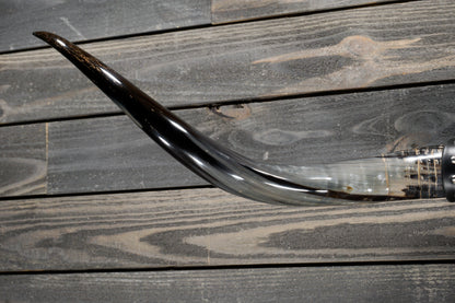 4' 8" Longhorn Wall Mount #309