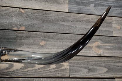 4' 8" Longhorn Wall Mount #309