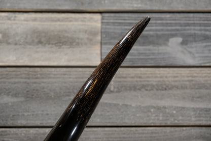 4' 8" Longhorn Wall Mount #309