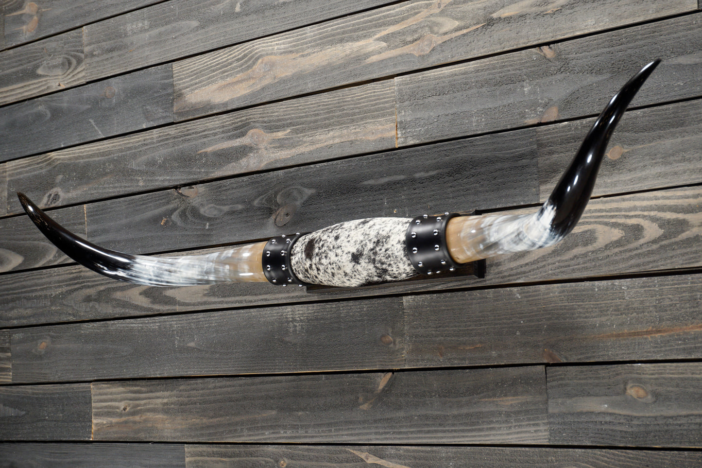 5' 0" Longhorn Wall Mount #339