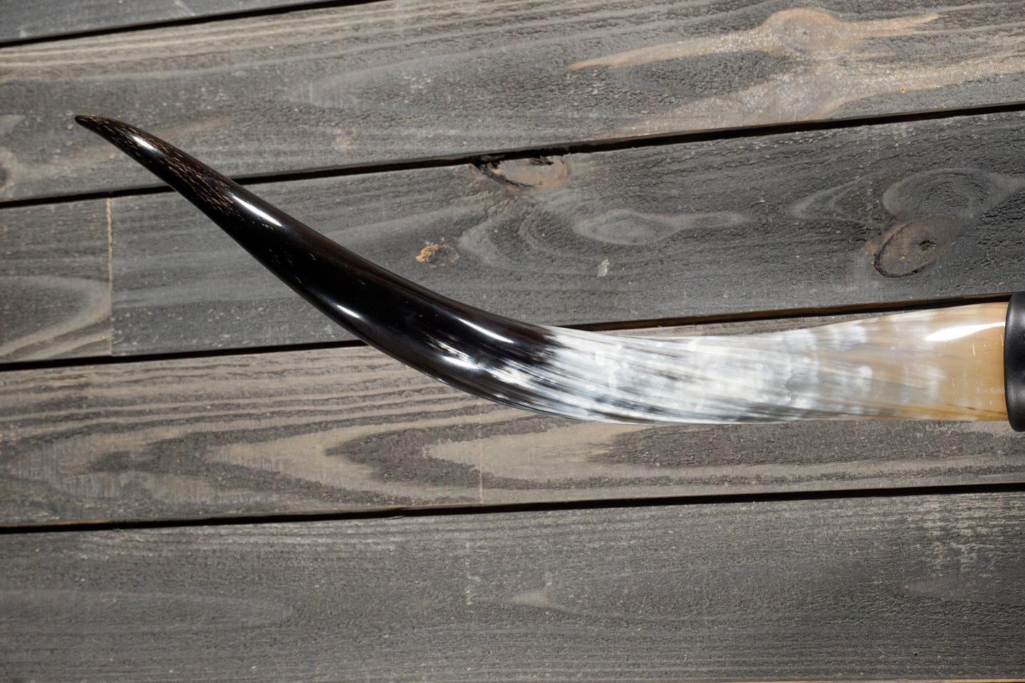 5' 0" Longhorn Wall Mount #339