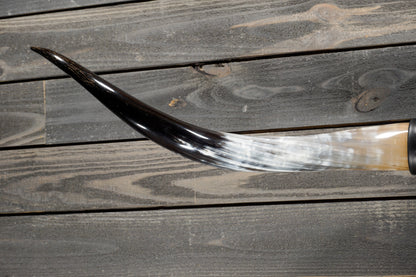 5' 0" Longhorn Wall Mount #339