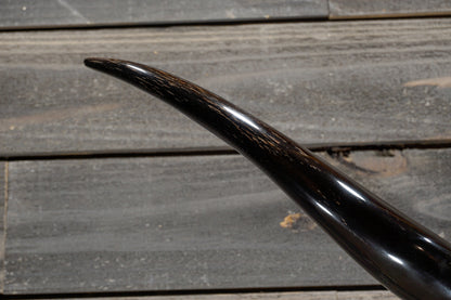 5' 0" Longhorn Wall Mount #339