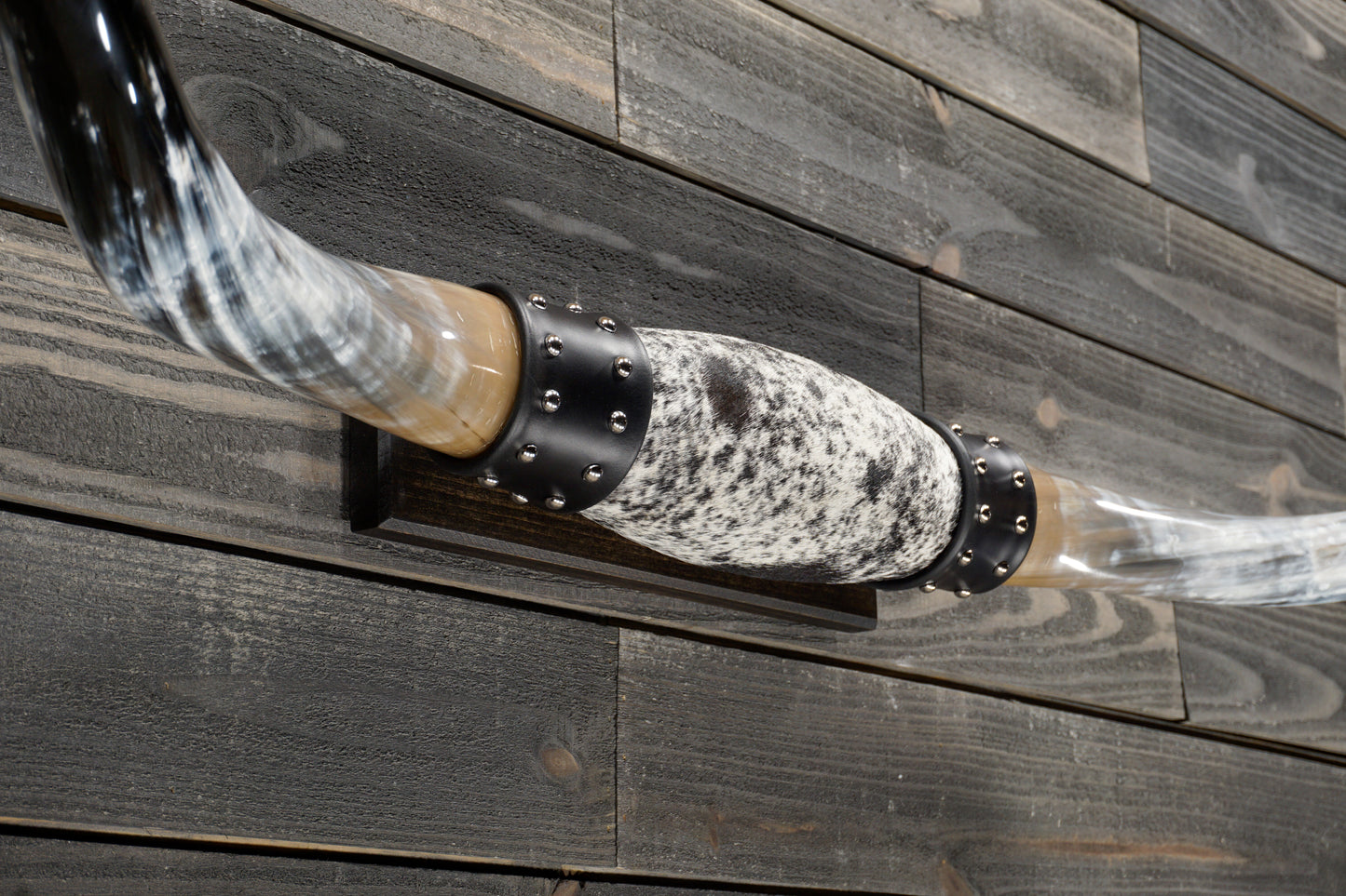 5' 0" Longhorn Wall Mount #339