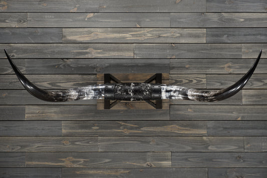 5' 11" Longhorn Wall Mount #358