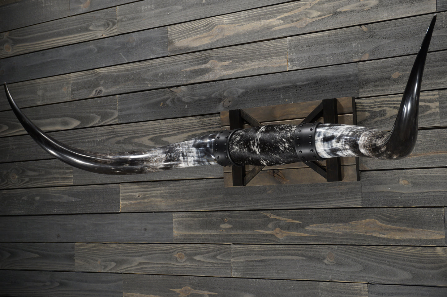 5' 11" Longhorn Wall Mount #358