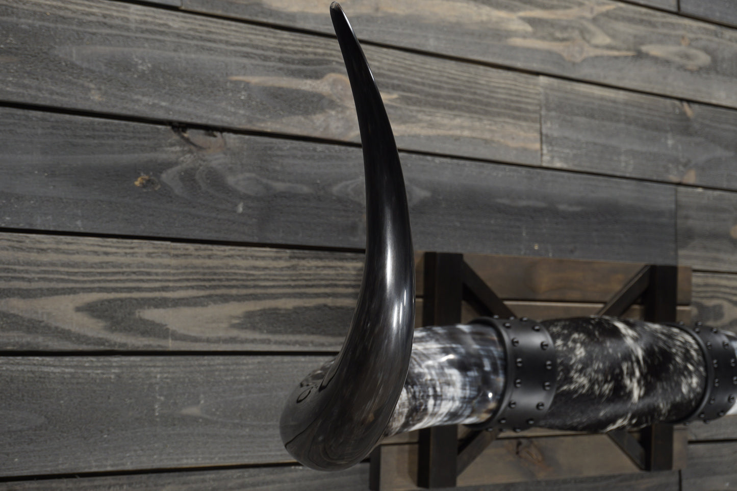 5' 11" Longhorn Wall Mount #358