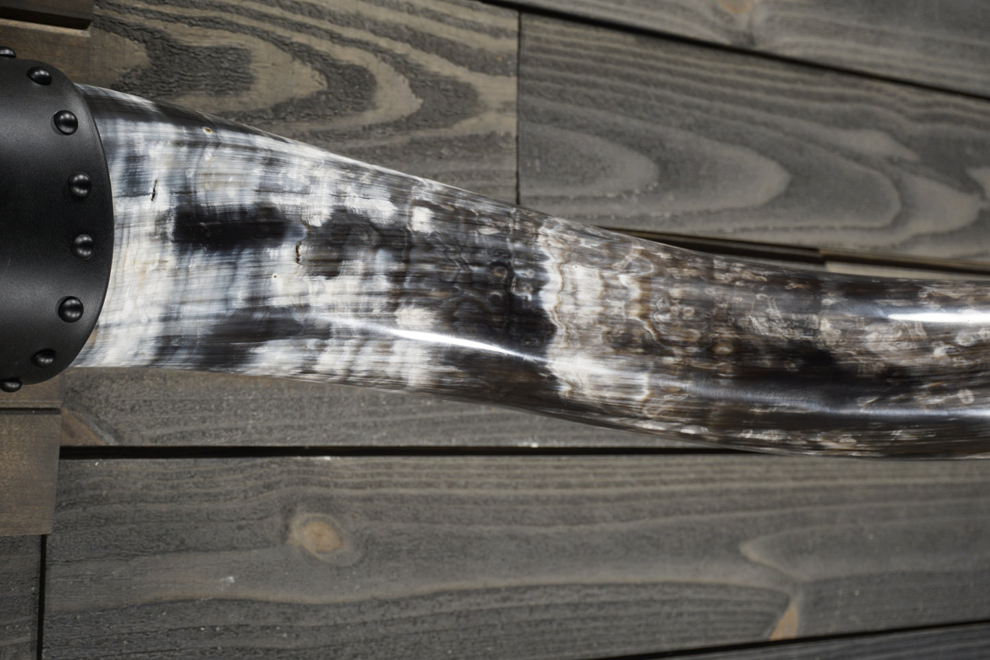 5' 11" Longhorn Wall Mount #358