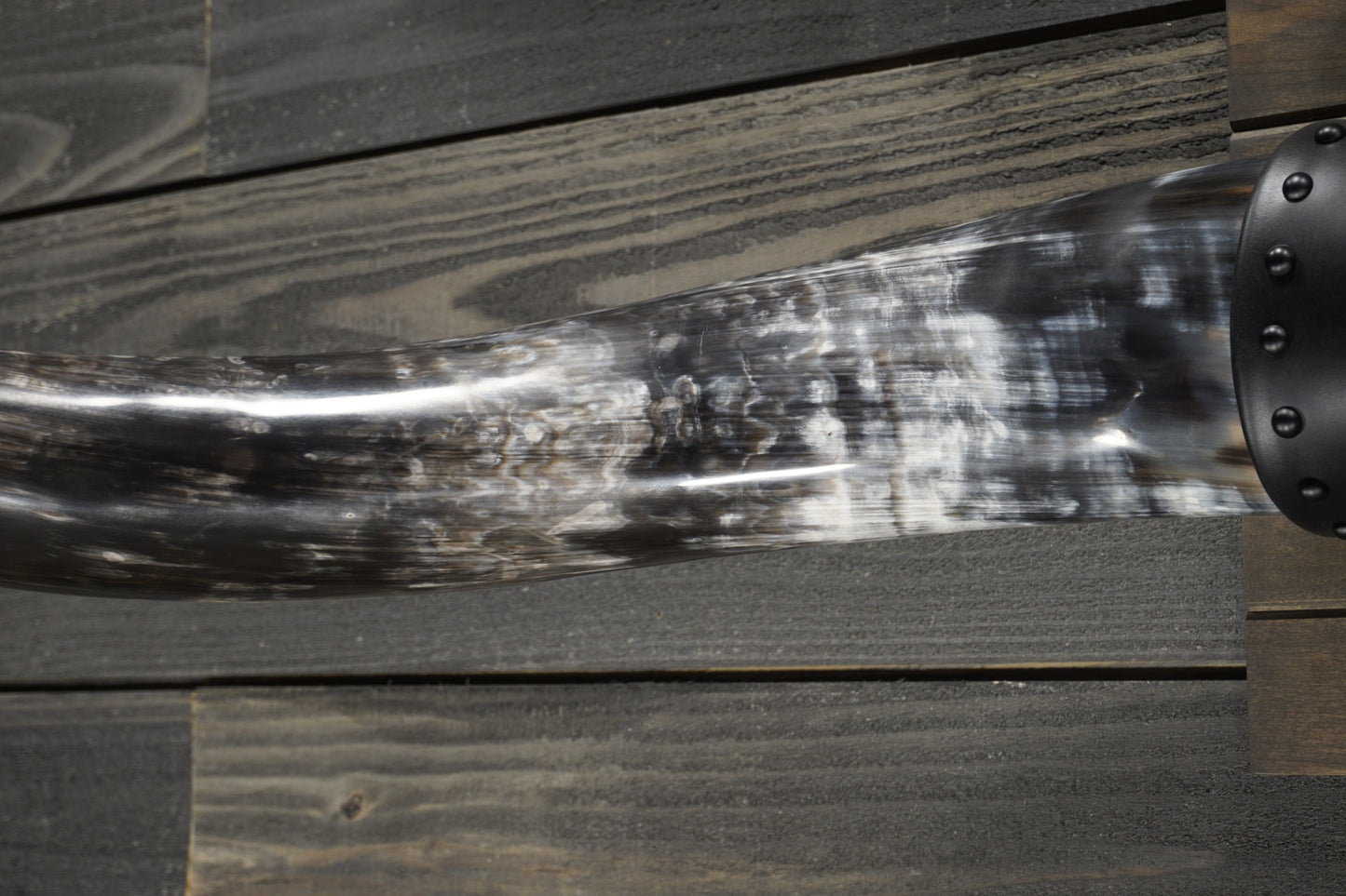 5' 11" Longhorn Wall Mount #358