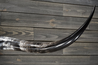 5' 11" Longhorn Wall Mount #358