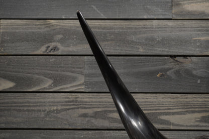 5' 11" Longhorn Wall Mount #358