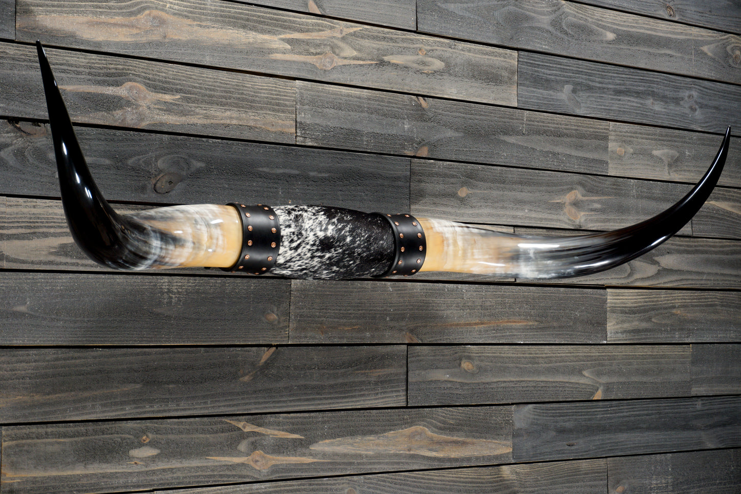 5' 0" Longhorn Wall Mount #367