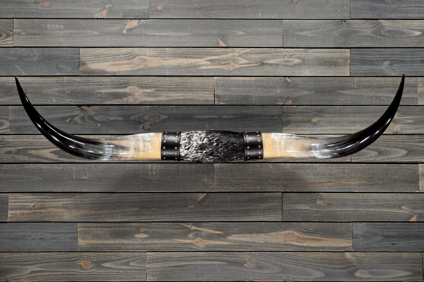 5' 0" Longhorn Wall Mount #367