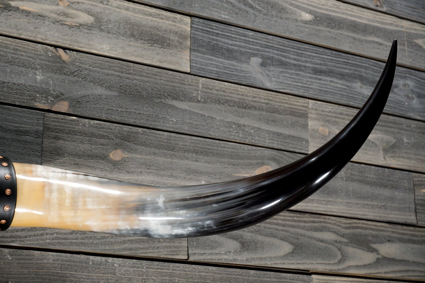 5' 0" Longhorn Wall Mount #367
