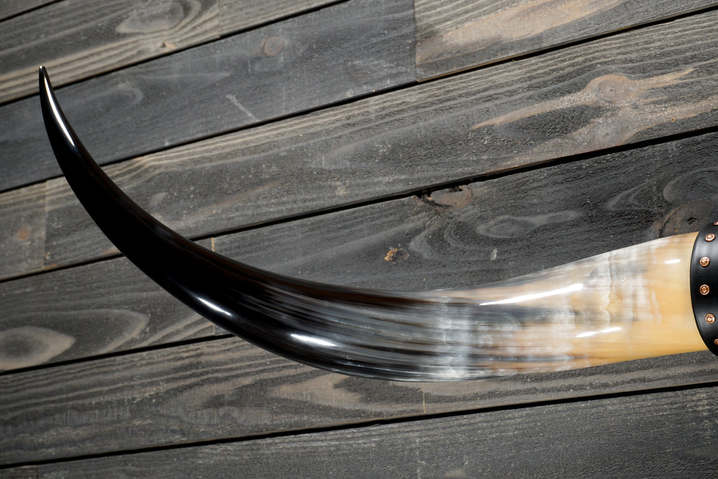 5' 0" Longhorn Wall Mount #367