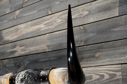 5' 0" Longhorn Wall Mount #367