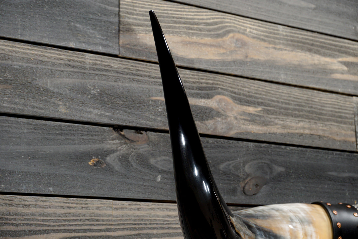 5' 0" Longhorn Wall Mount #367
