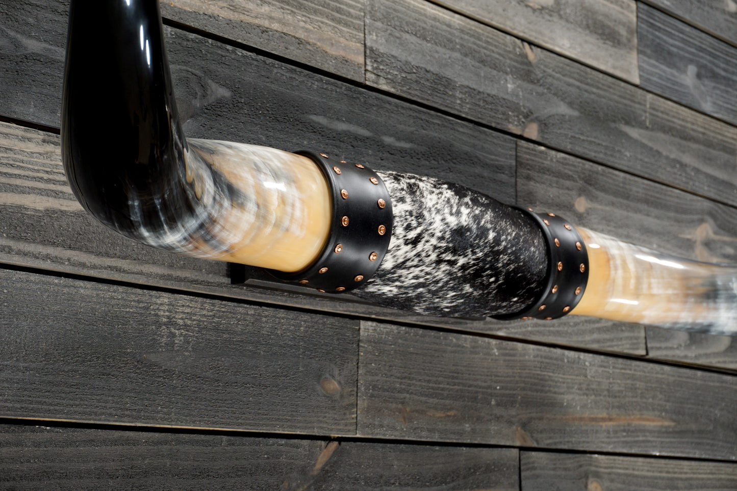 5' 0" Longhorn Wall Mount #367