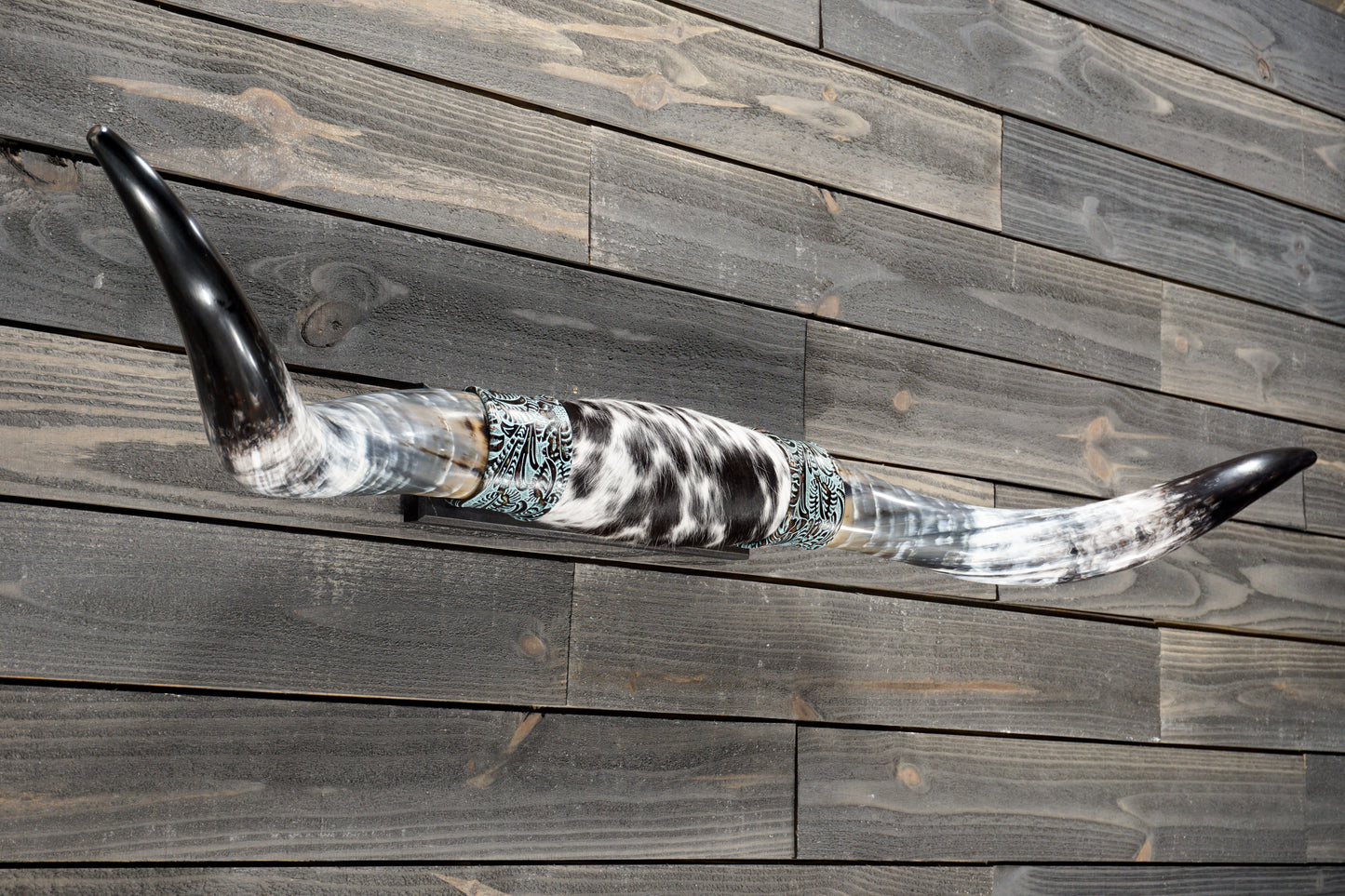 5' 2" Longhorn Wall Mount #370