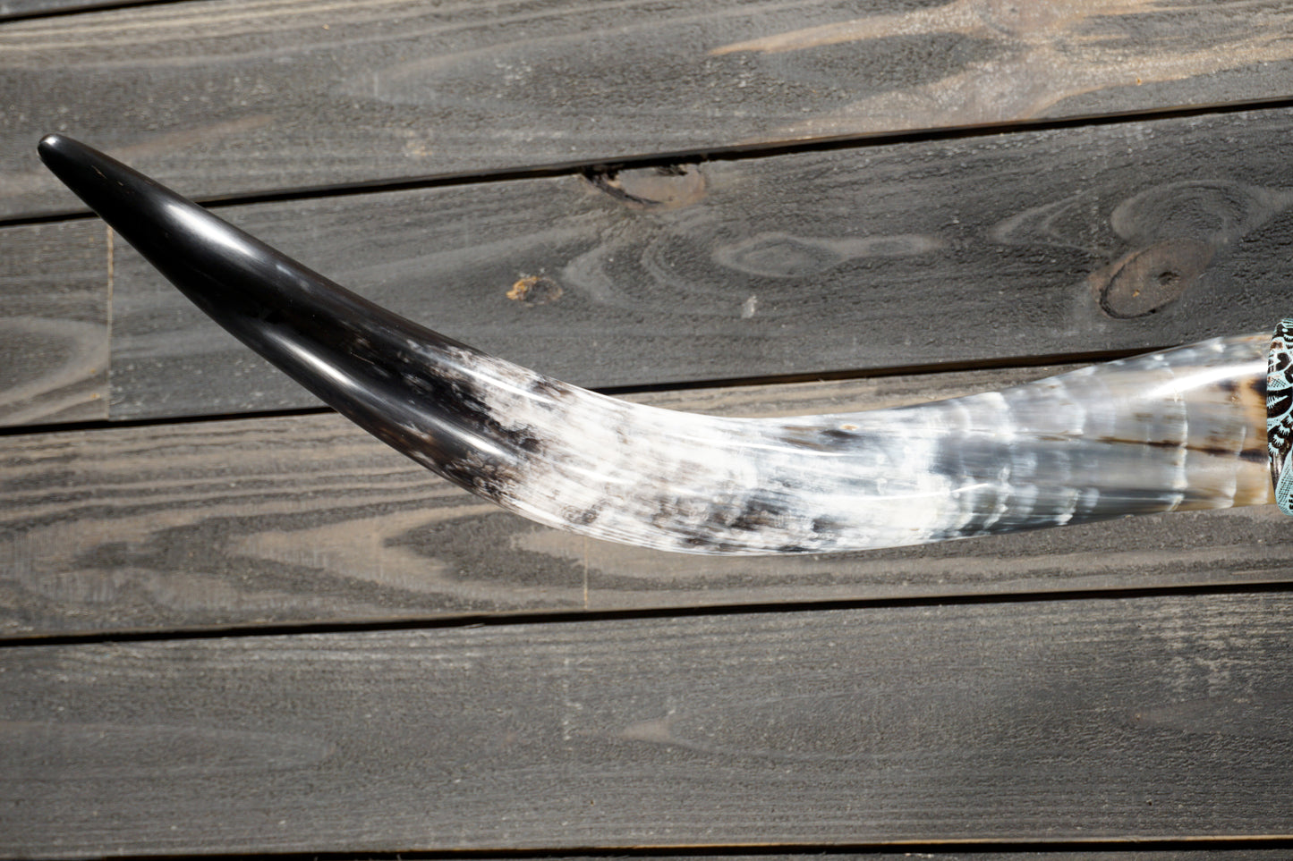 5' 2" Longhorn Wall Mount #370