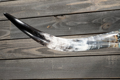 5' 2" Longhorn Wall Mount #370