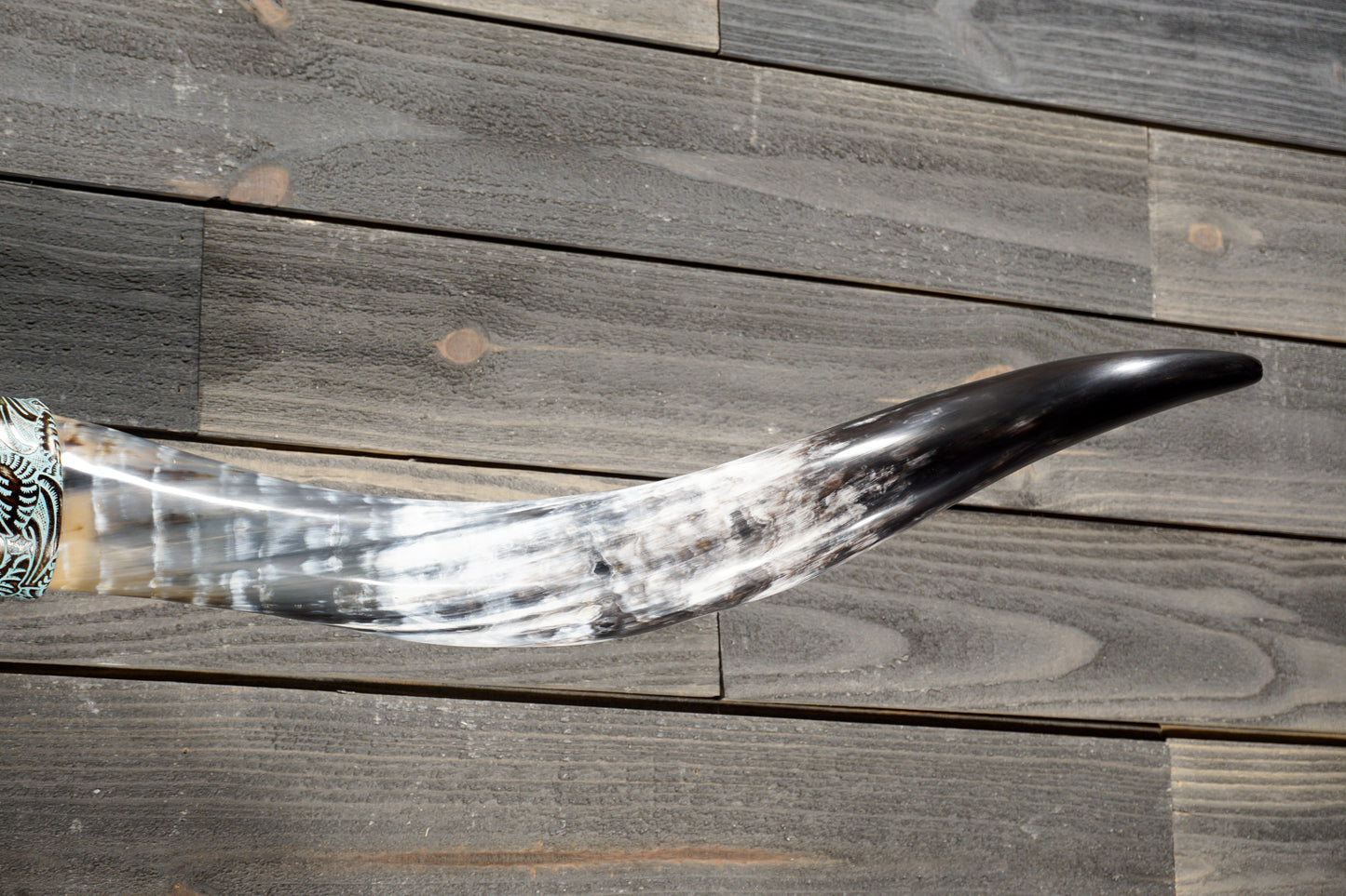 5' 2" Longhorn Wall Mount #370