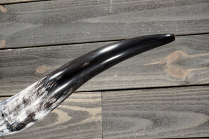 5' 2" Longhorn Wall Mount #370