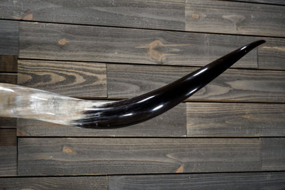 6' 10" Longhorn Wall Mount #321