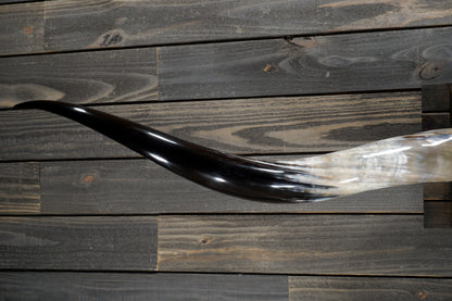 6' 10" Longhorn Wall Mount #321