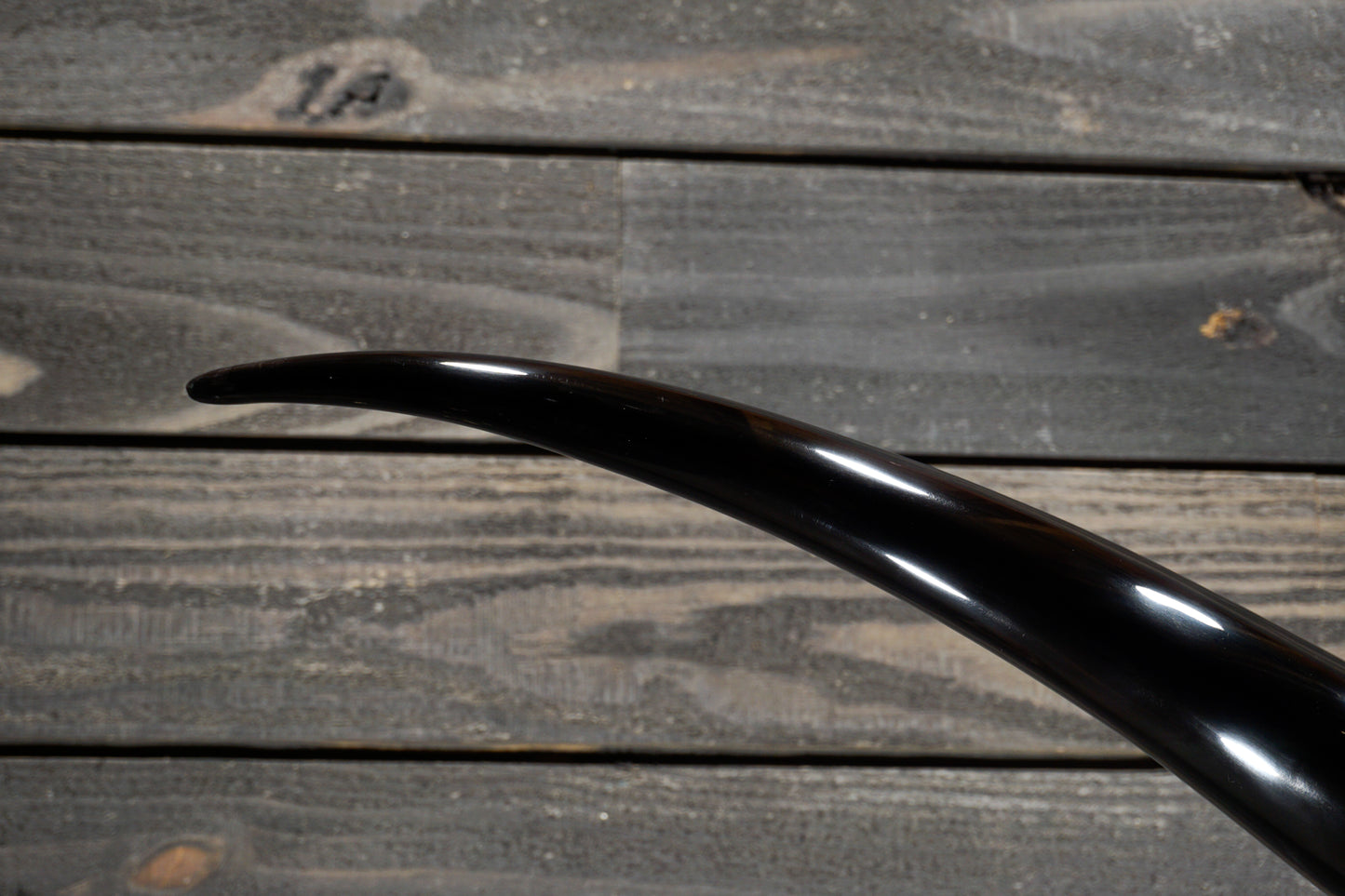 6' 10" Longhorn Wall Mount #321