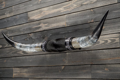 4' 7" Longhorn Wall Mount #331