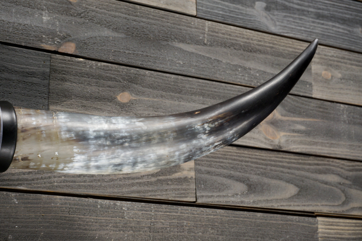 4' 7" Longhorn Wall Mount #331