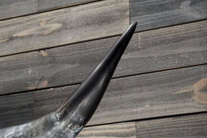 4' 7" Longhorn Wall Mount #331