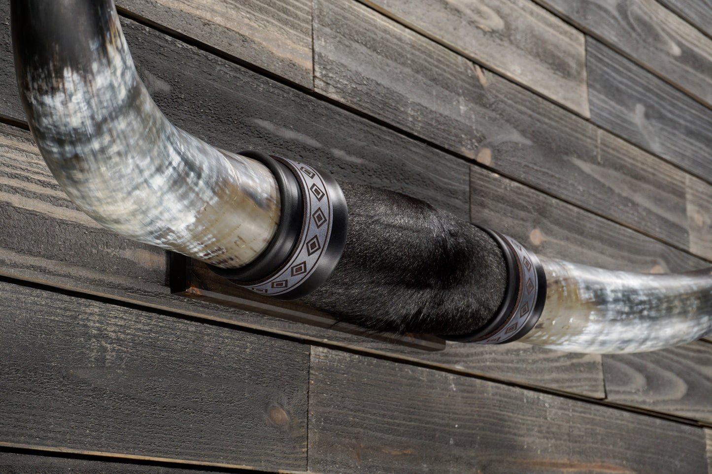 4' 7" Longhorn Wall Mount #331