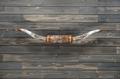 5' 6" Longhorn Wall Mount #272