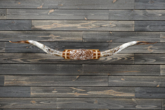 5' 6" Longhorn Wall Mount #272