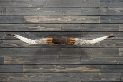 5' 5" Longhorn Wall Mount #273