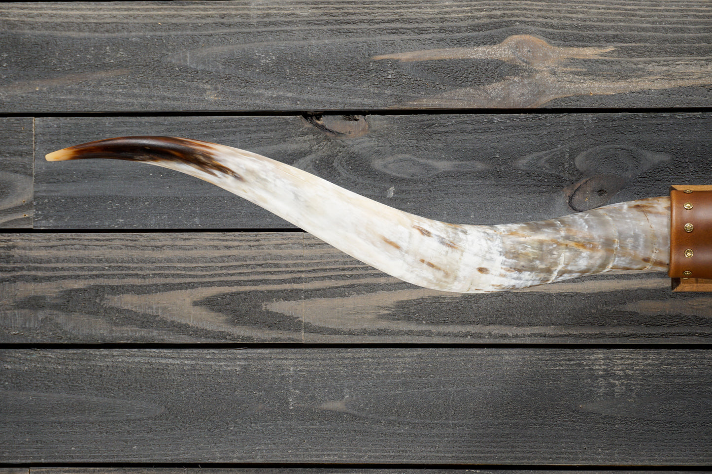 5' 5" Longhorn Wall Mount #273
