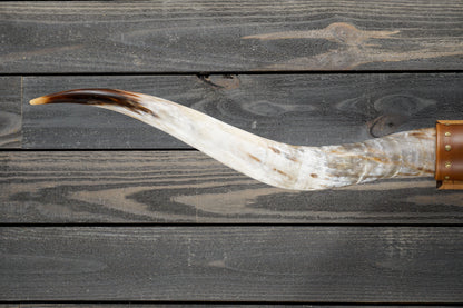 5' 5" Longhorn Wall Mount #273