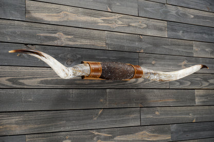 5' 5" Longhorn Wall Mount #273