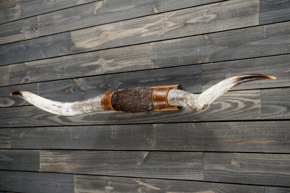 5' 5" Longhorn Wall Mount #273