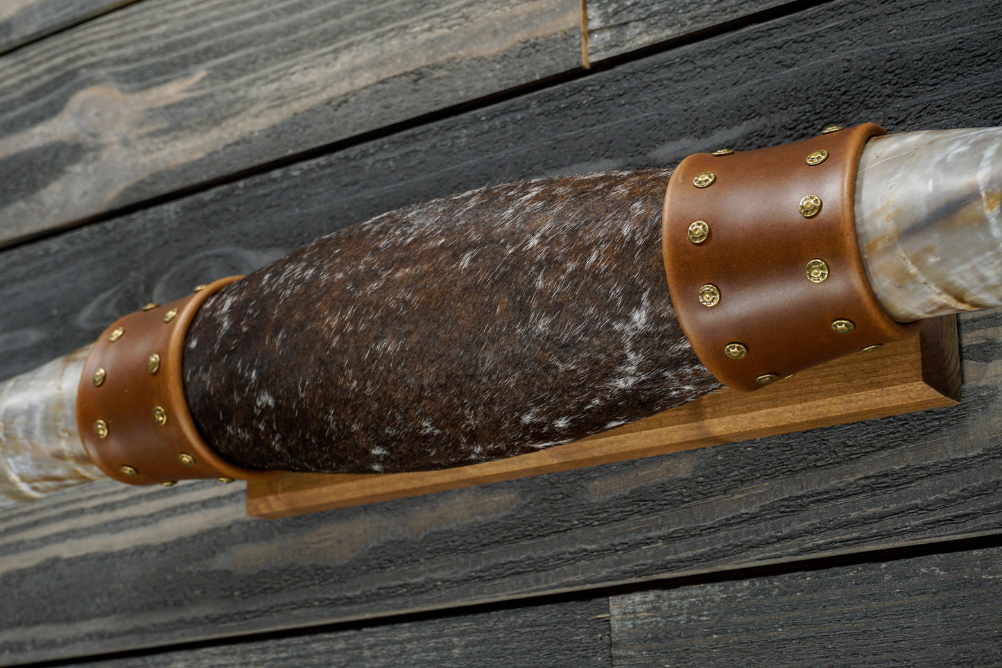5' 5" Longhorn Wall Mount #273