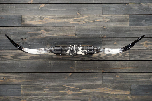 4' 9" Longhorn Wall Mount #274