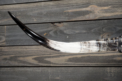 4' 9" Longhorn Wall Mount #274