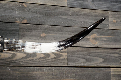 4' 9" Longhorn Wall Mount #274