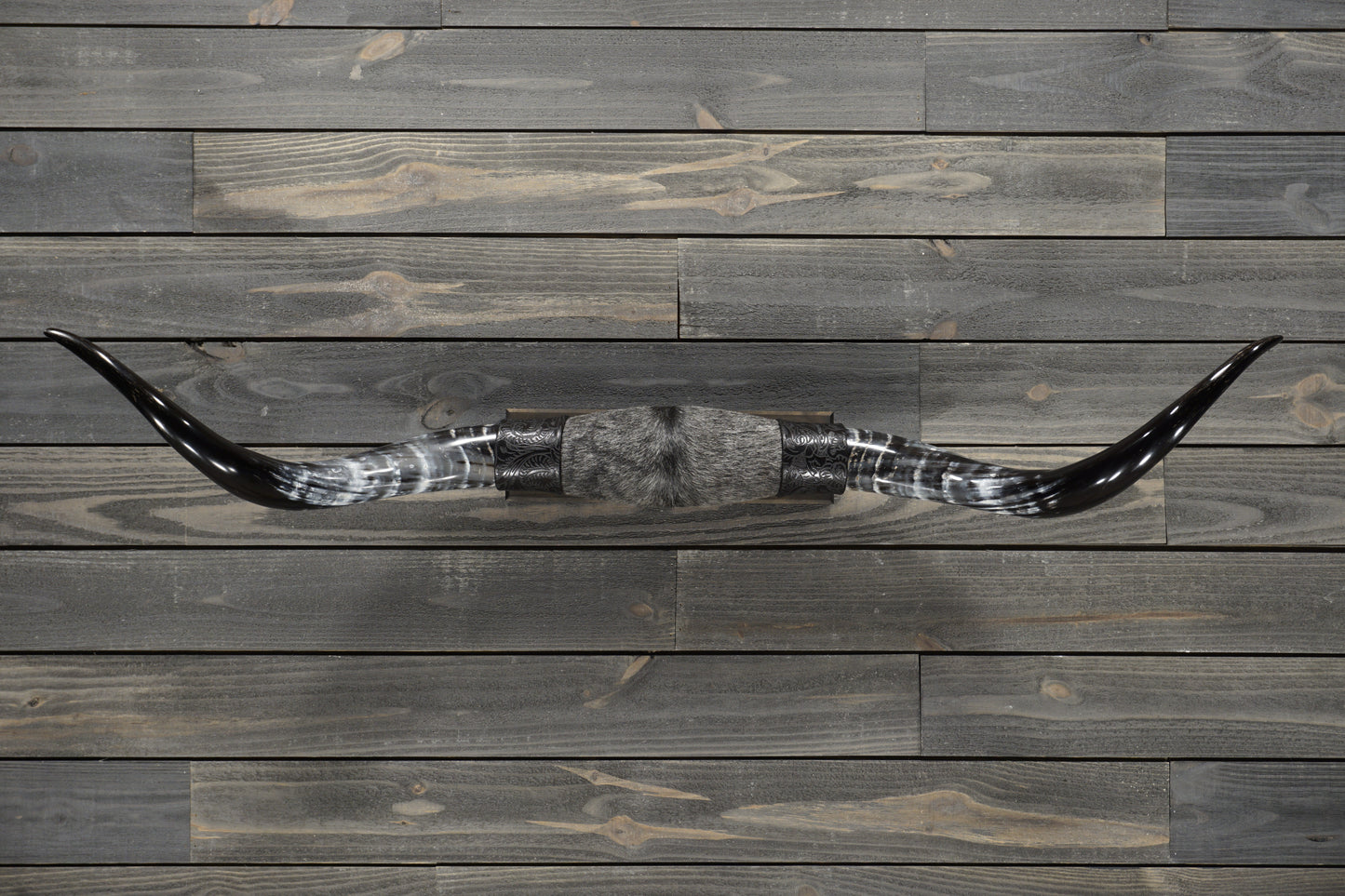4' 7" Longhorn Wall Mount #288