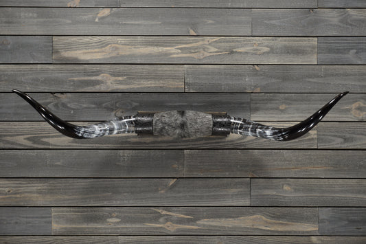 4' 7" Longhorn Wall Mount #288